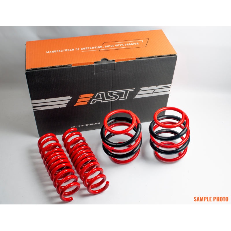 AST 05/2004-12/2008 Renault Megane Lowering Springs – 30mm/30mm